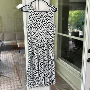 XS Loft Black and White dot dress
